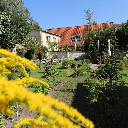 Zentrale Mit Gartennutzung *