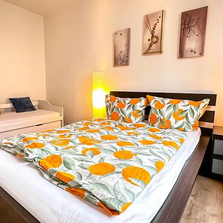 Apartman Zentrale Mit Gartennutzung Schwerin