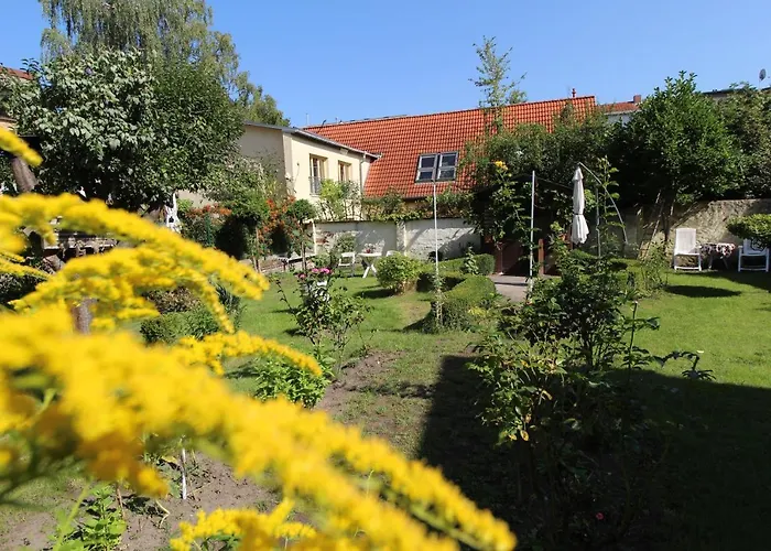 Zentrale Mit Gartennutzung *